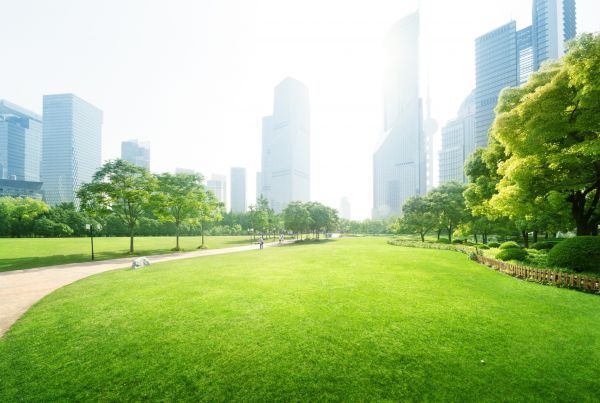 Commercial Landscape Maintenance in Riverton