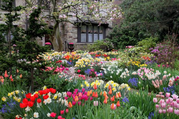 Garden Maintenance Service in Riverton