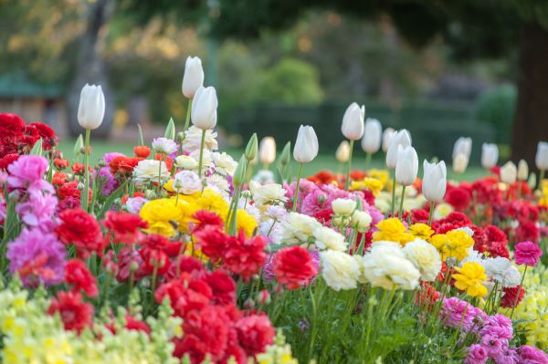 Gardening Service in Riverton