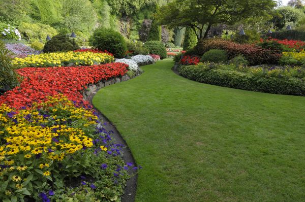 Landscaping Maintenance in Riverton