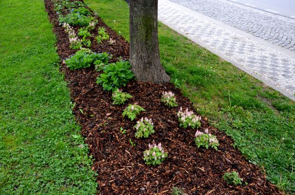 Mulch Replacement Service in Riverton