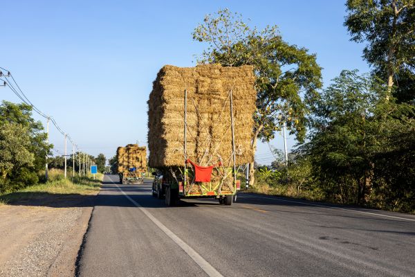 Pine Straw Delivery in Riverton