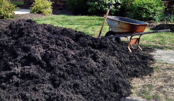 Black Mulch Delivery in Riverton