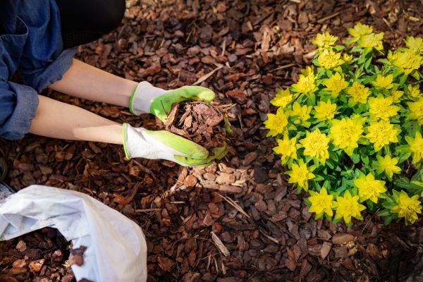 Garden Mulching in Riverton