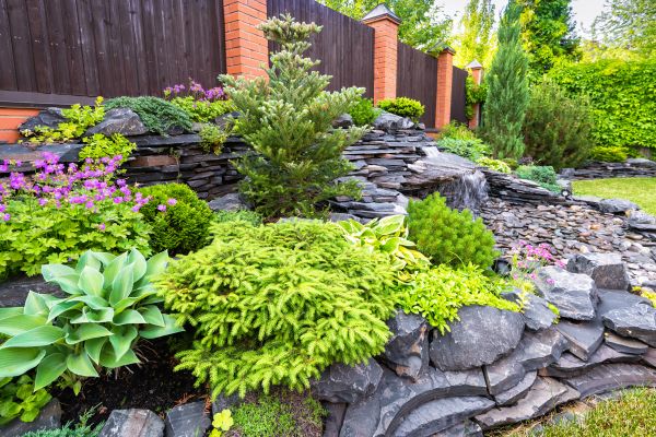 Landscape Remodeling in Riverton