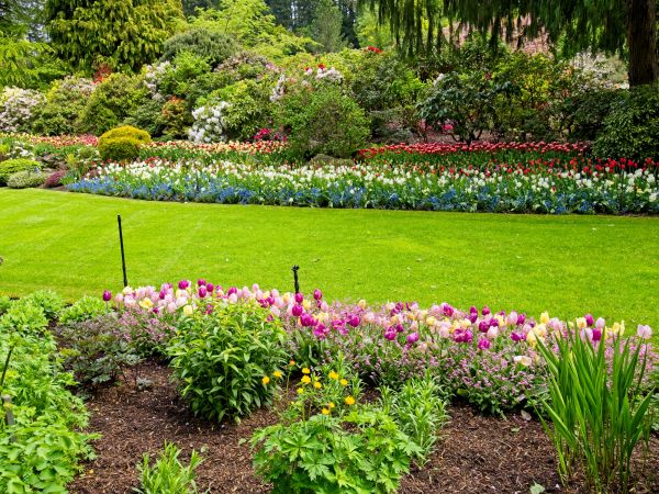 Residential Landscape Design in Riverton