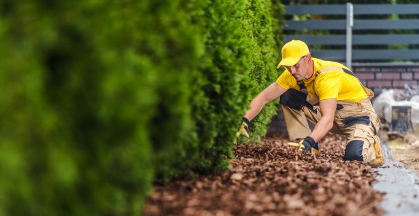 Cypress Mulch Installation in Riverton