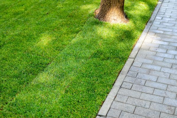 Border Stone Installation in Riverton