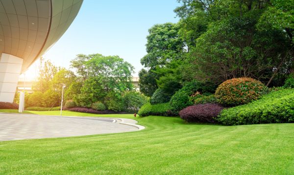 Business Landscape Design in Riverton