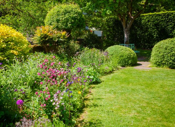 Yard Landscaping Service in Riverton