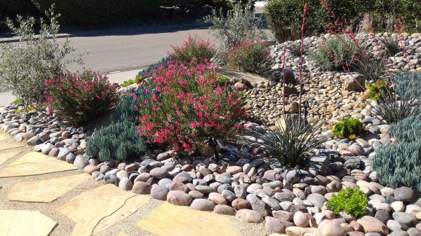 Xeriscape Landscaping in Riverton