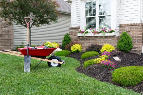 Tree And Shrub Planting in Riverton