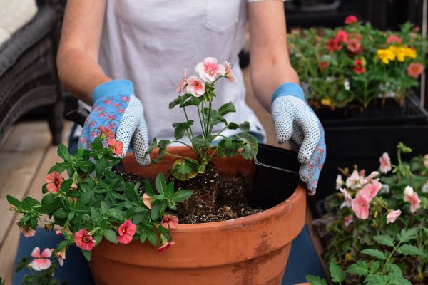 Plant Care Service in Riverton