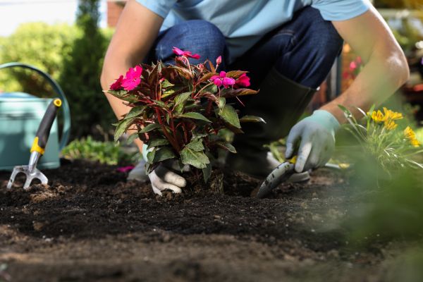 Plant Installation in Riverton