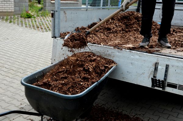 Landscape Mulch Delivery in Riverton