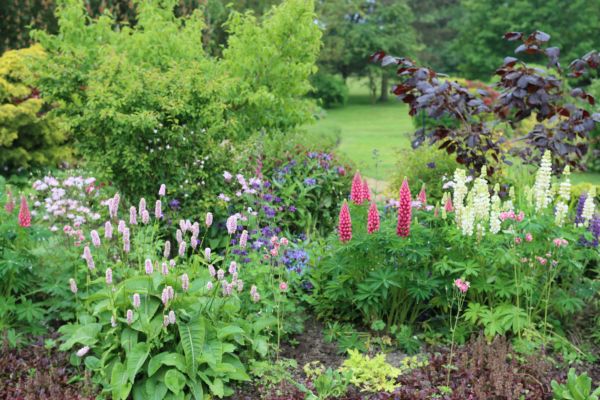 Flower Bed Planting in Riverton
