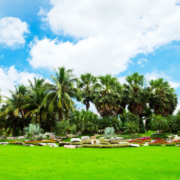 Tropical Landscaping in Riverton