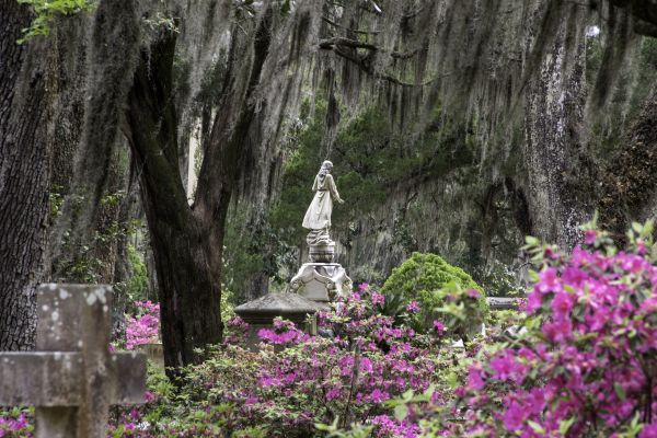 Cemetery Landscaping in Riverton