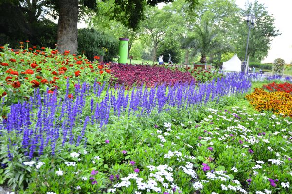 Perennials Planting in Riverton