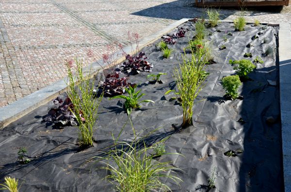 Landscape Fabric Installation in Riverton