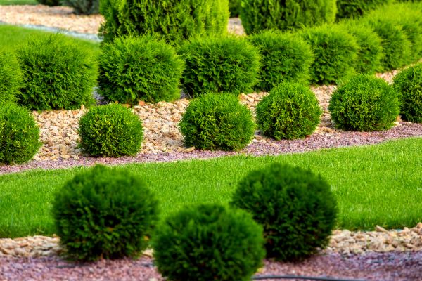 Bush Installation in Riverton