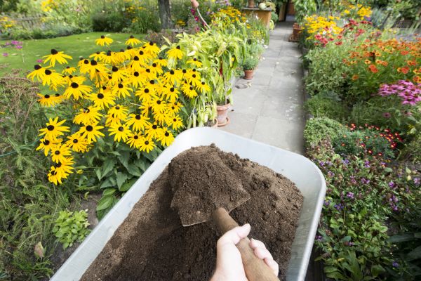 Topsoil Replacement in Riverton