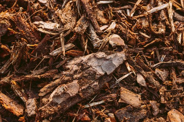Bark Mulch Delivery in Riverton