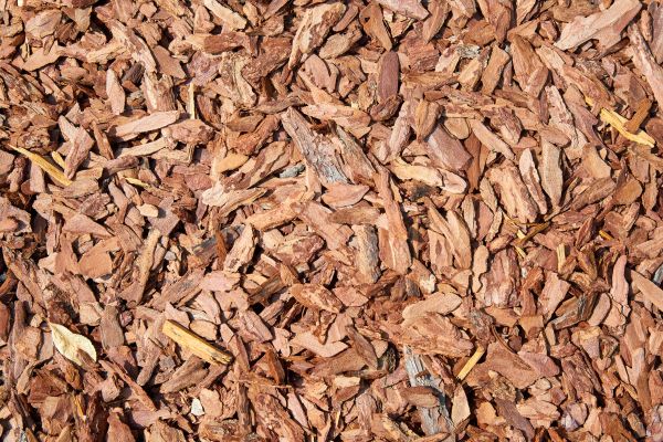 Pine Mulch Delivery in Riverton