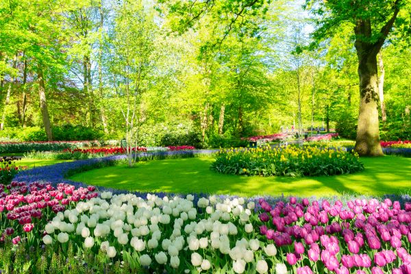 Flower Landscaping in Riverton