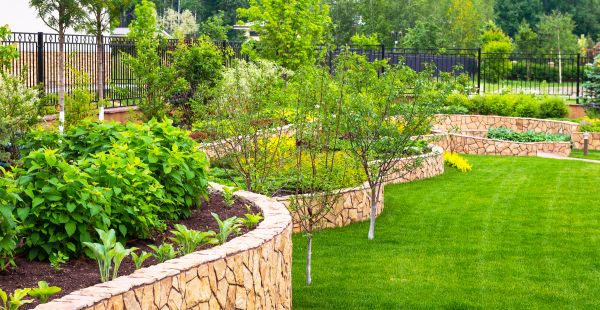 Yard Makeover Service in Riverton