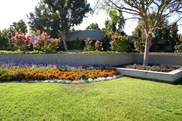 Commercial Landscape Service in Riverton