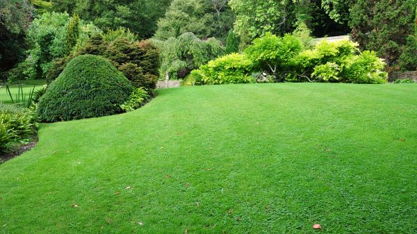 Commercial Landscape Design in Riverton
