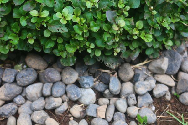 River Stone Installation in Riverton