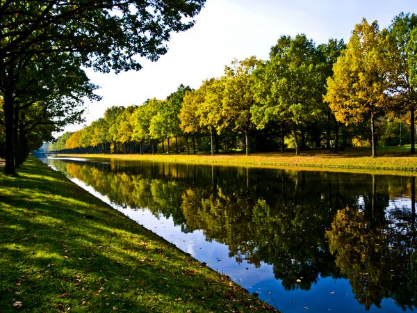 Bank Landscaping in Riverton