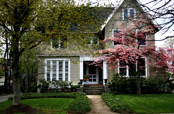 Ornamental Tree Planting in Riverton