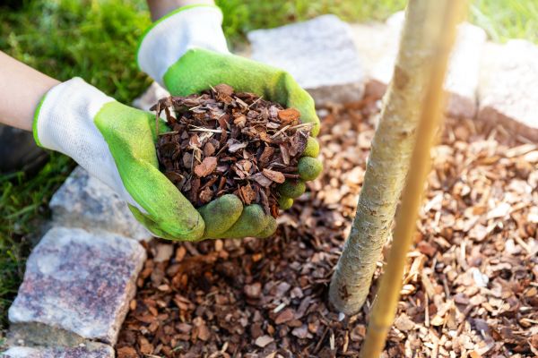 Tree Bark Delivery in Riverton