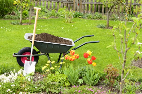 Spring Yard Renovation in Riverton