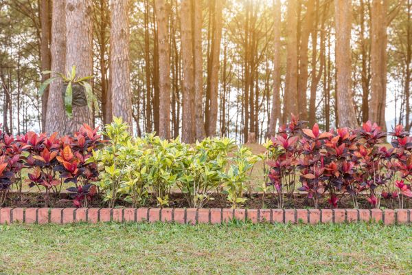Small Garden Landscaping in Riverton