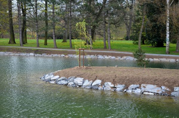 Pond Landscaping Service in Riverton