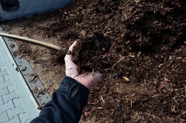 Condo Mulching in Riverton