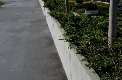 Landscaping Curb Installation
