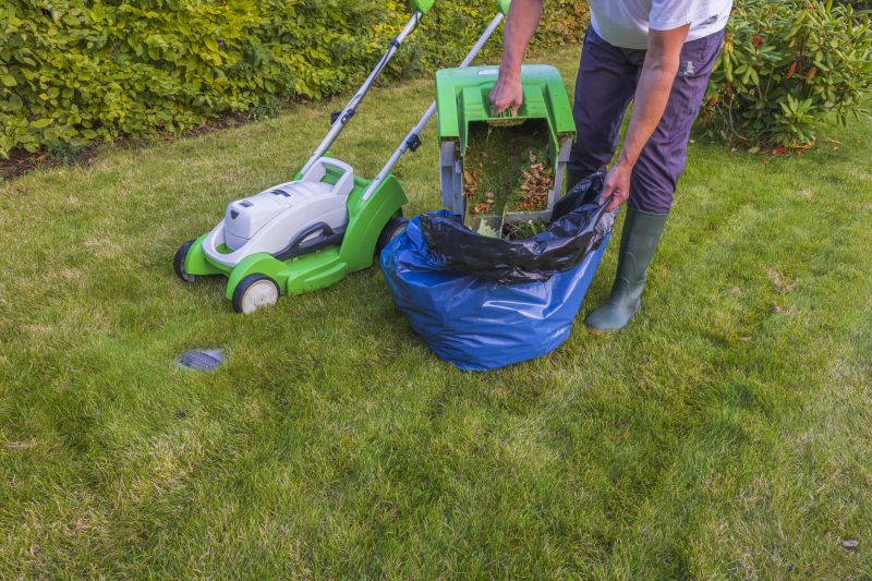 Lawn Edging Service