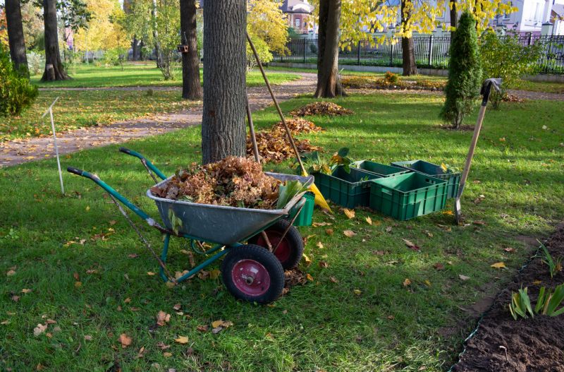 Playground Mulch Removal