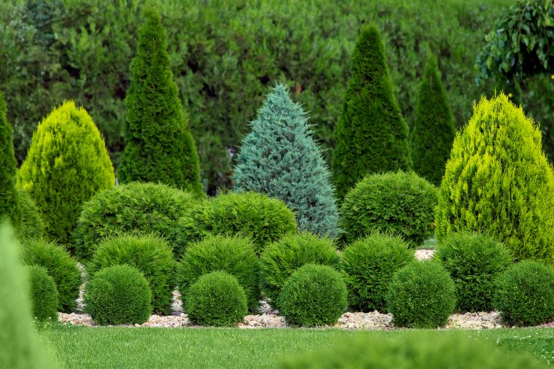 Shrub Landscaping